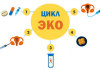 процедура эко этапы по дням фото